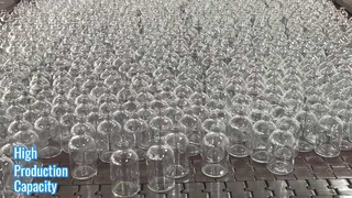 Molded  Glass  Bottle  